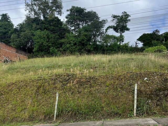 Venda em Salgado Filho - Caxias do Sul