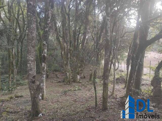 #32 - Área para Venda em Caxias do Sul - RS - 2