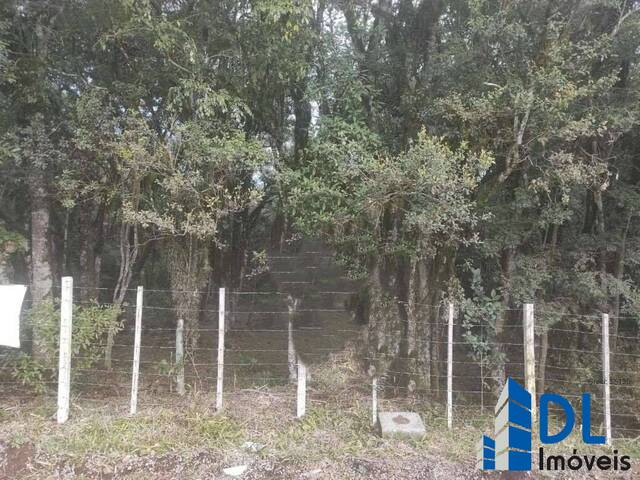 Venda em Ana Rech - Caxias do Sul