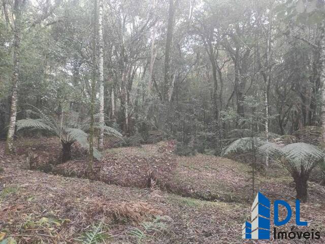 #32 - Área para Venda em Caxias do Sul - RS - 3