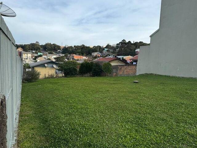 Área para Venda em Caxias do Sul - 4