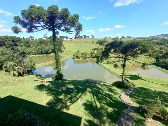Chácara para Venda em Caxias do Sul - 4
