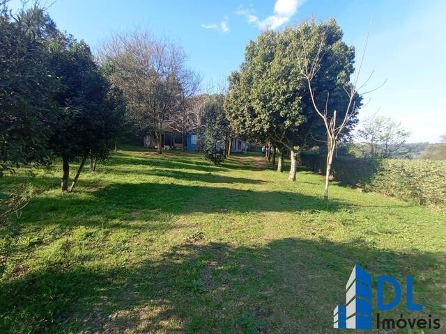 #143 - Chácara para Venda em Caxias do Sul - RS - 1