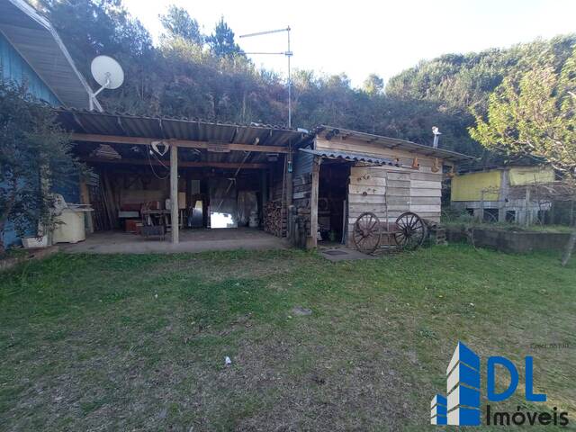 #143 - Chácara para Venda em Caxias do Sul - RS - 3