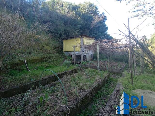 Chácara para Venda em Caxias do Sul - 4