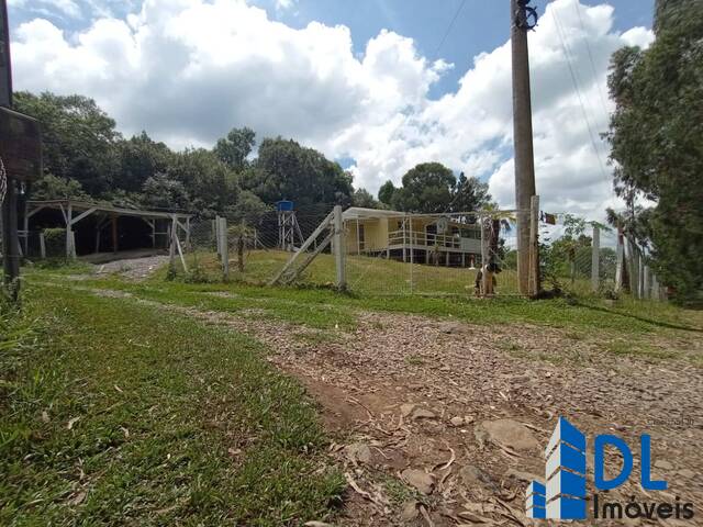 #192 - Chácara para Venda em Caxias do Sul - RS - 1