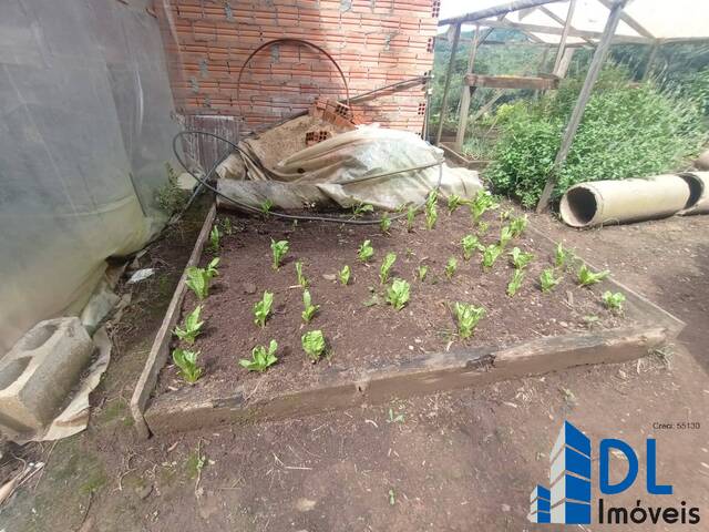 Chácara para Venda em Flores da Cunha - 4
