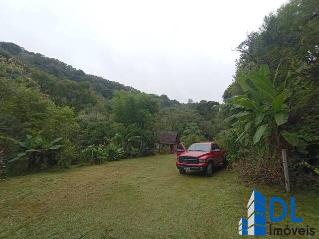 #203 - Chácara para Venda em Caxias do Sul - RS - 2