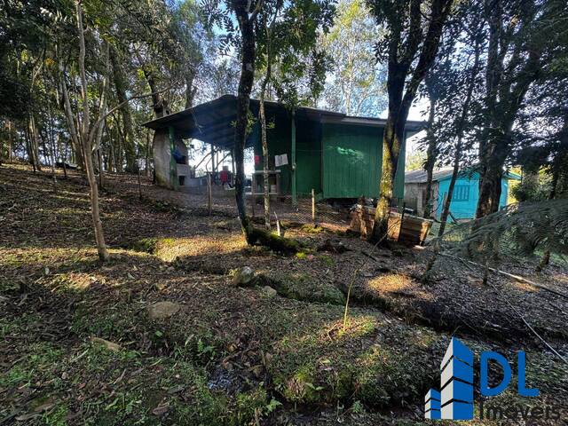 Chácara para Venda em Caxias do Sul - 2