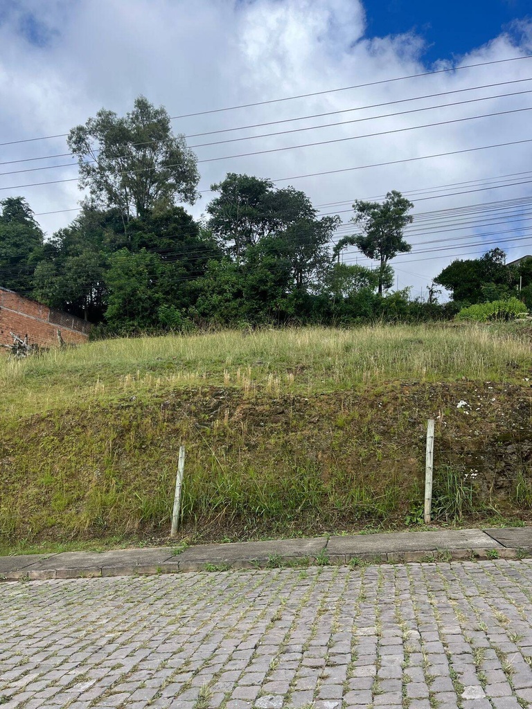 Lote/Terreno Salgado Filho, Caxias do Sul - RS